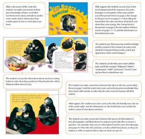 Yr3_Sun bears are special_Full view
