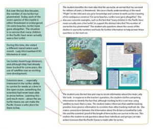 Yr5_Plight of the sea turtle_Full view