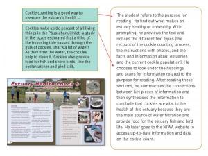 Yr7_EstuaryHealthCheck_1