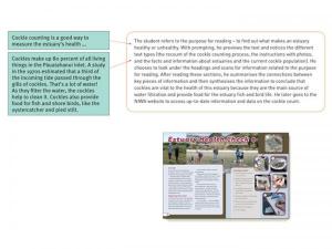Yr7_EstuaryHealthCheck_1