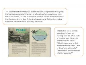 Yr8_Pacific_Paradise_1