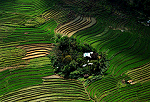 farm