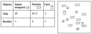 Litter survey within a large quadrat.