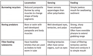 Students’ ideas recorded in simple chart.